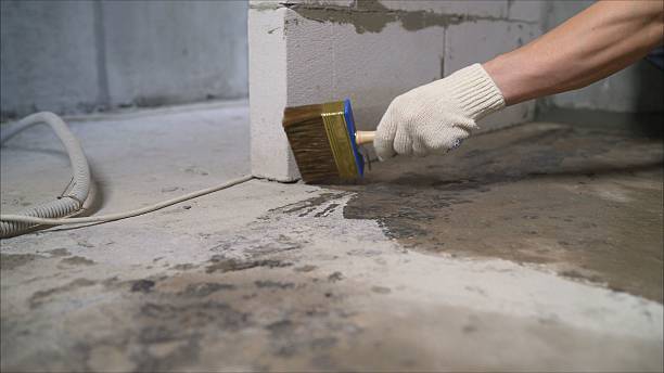 Top rated local Interior Drainage System specialists in New Market, AL